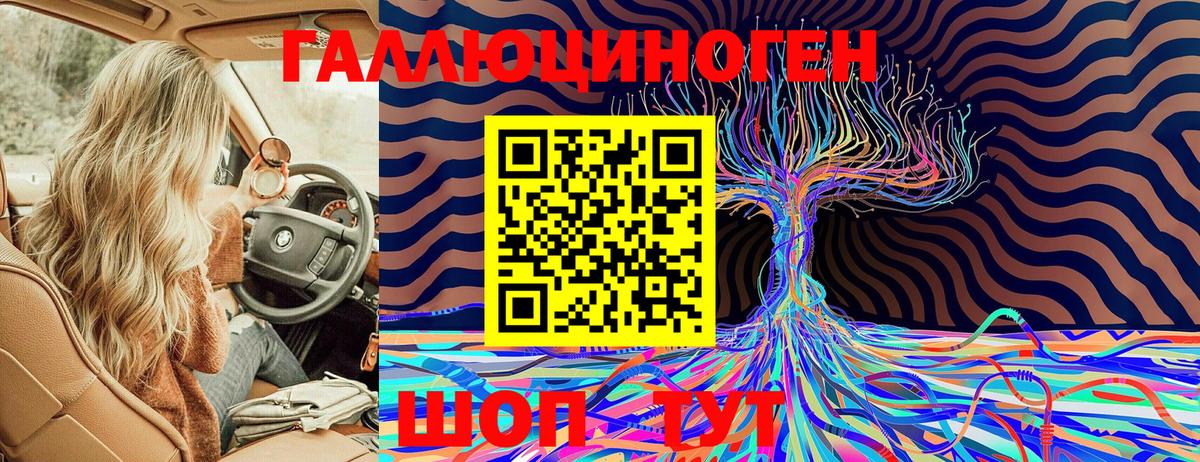 Галлюциногенные грибы GOLDEN TEACHER Новокуйбышевск