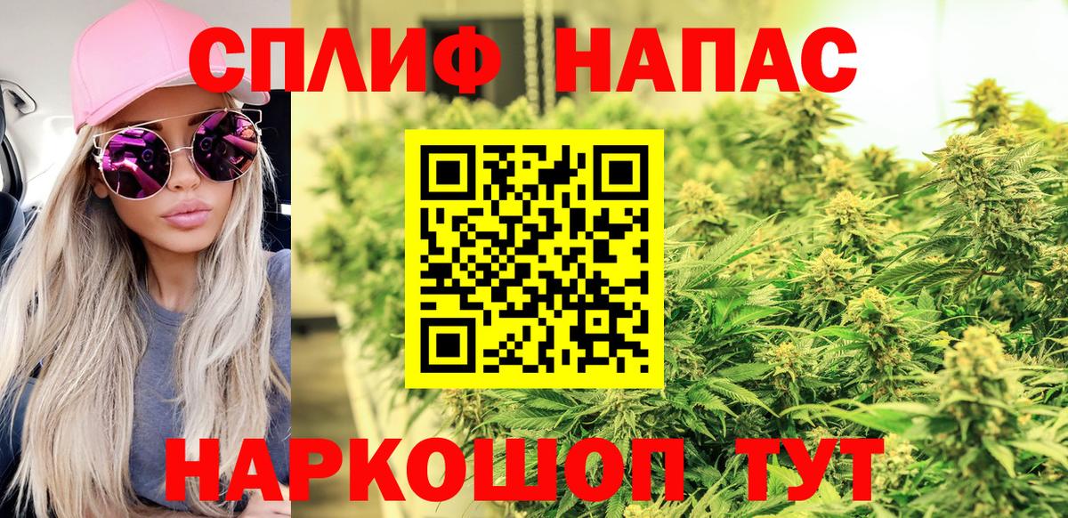 Бошки марихуана AK-47  Бошки марихуана план  Канабис сатива  Новокуйбышевск  Вход с VPN 